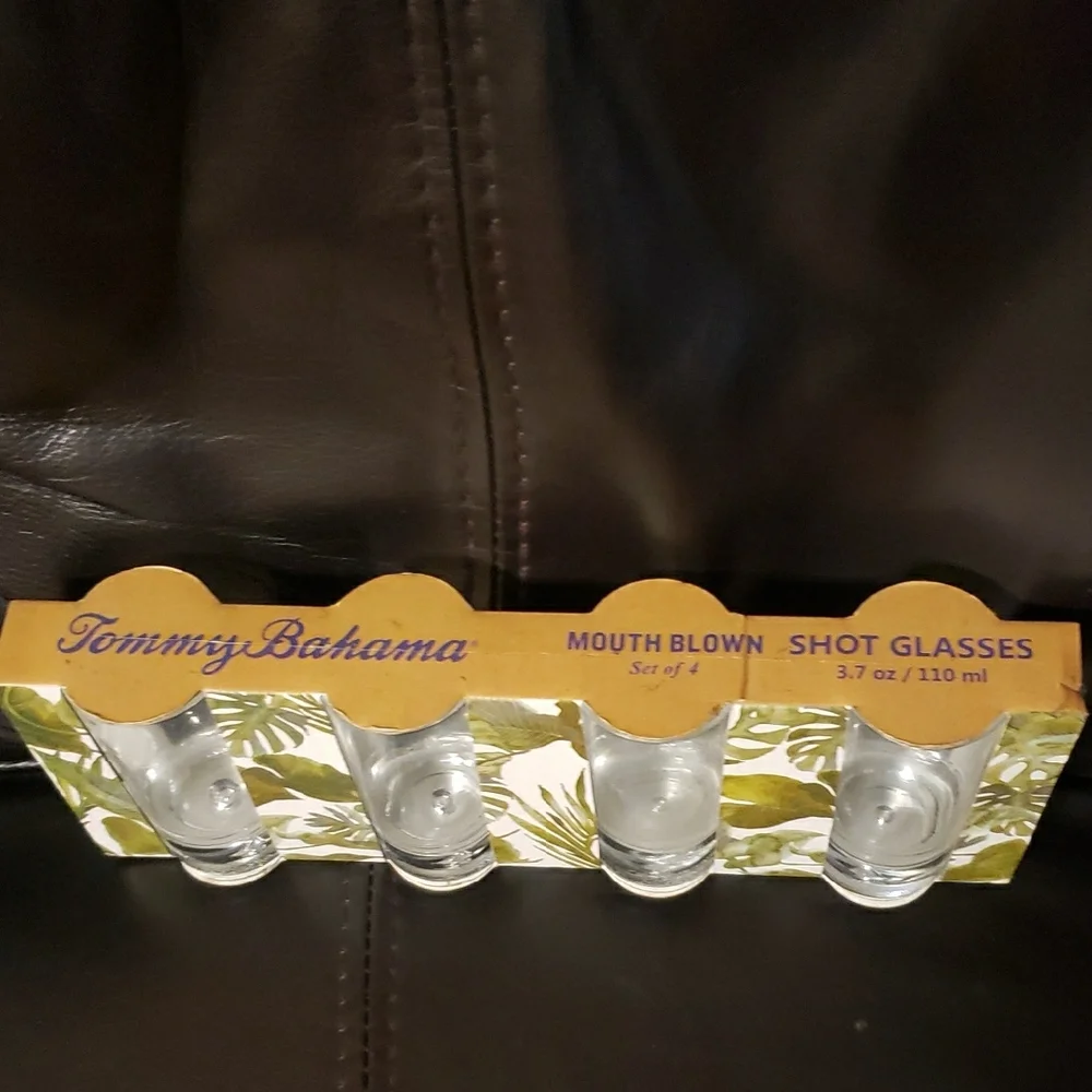 Tommy Bahama Clear Shot Glass Set - Picture 2 of 4